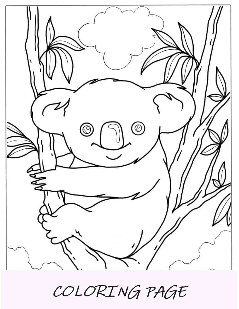 Folha para Colorir Coala sorridente sentado em Gumtree