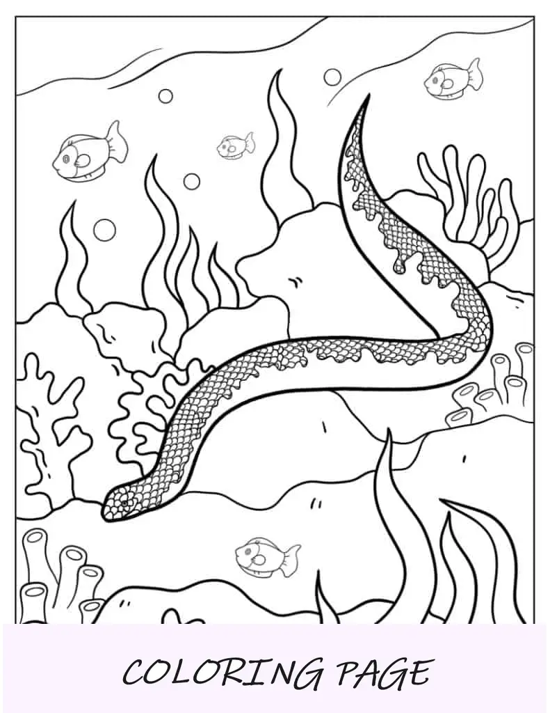 Dibujo para colorear de una serpiente marina en el agua