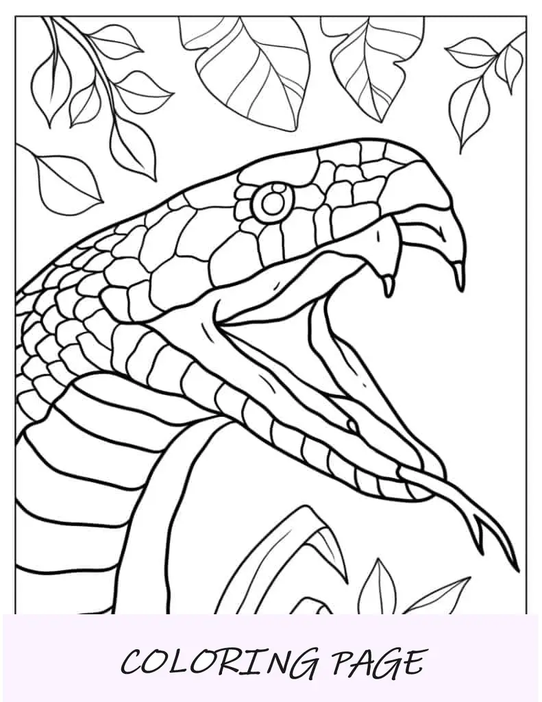 Cerca de serpiente con colmillos