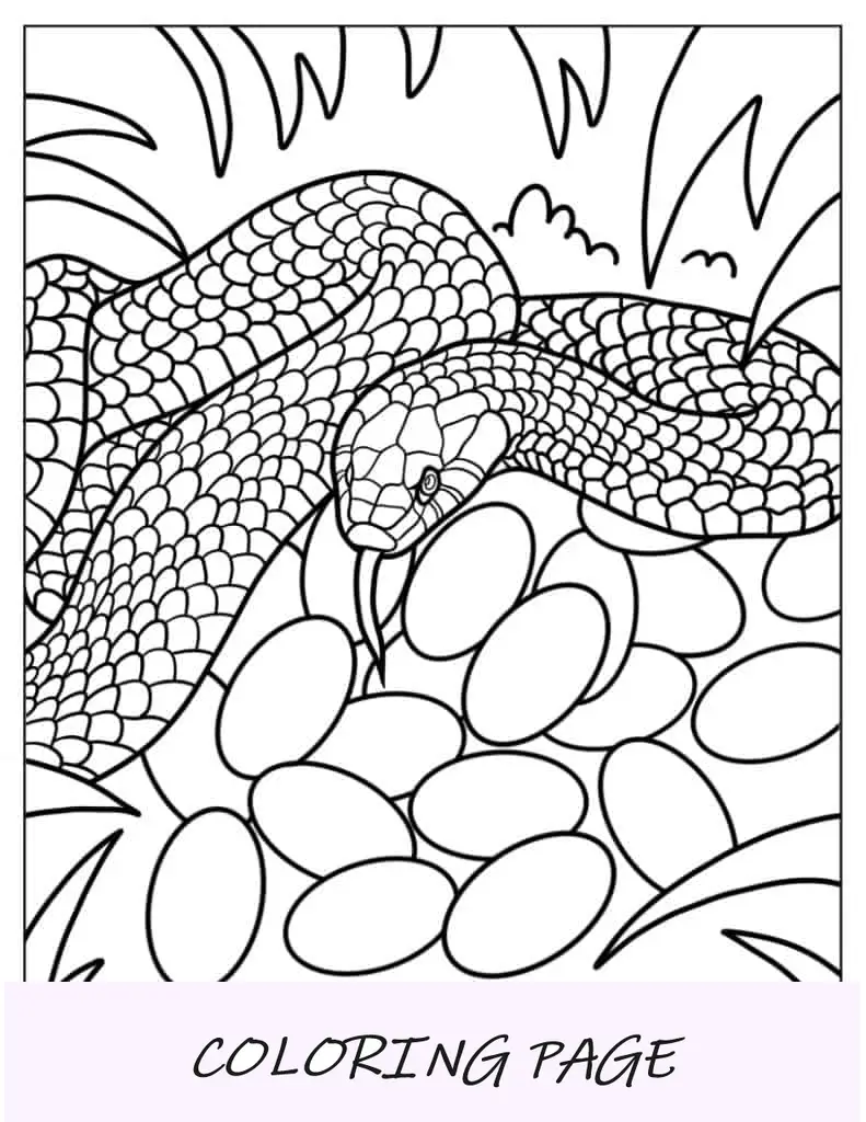 Madre serpiente protegiendo los huevos