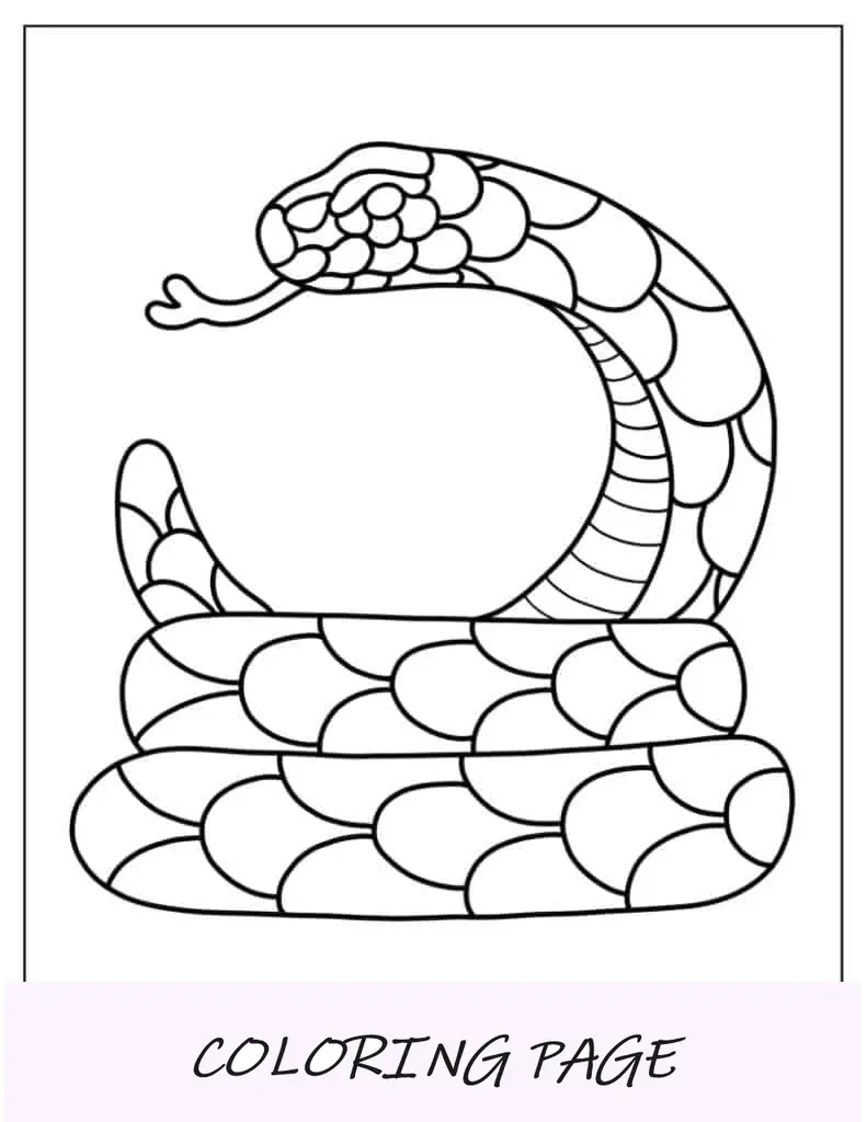 Contorno fácil de serpiente para colorear para niños en edad preescolar