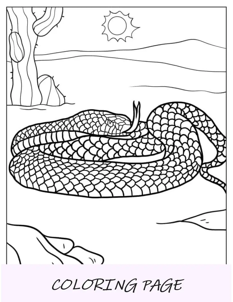 Serpiente Víbora Mortal Para Colorear