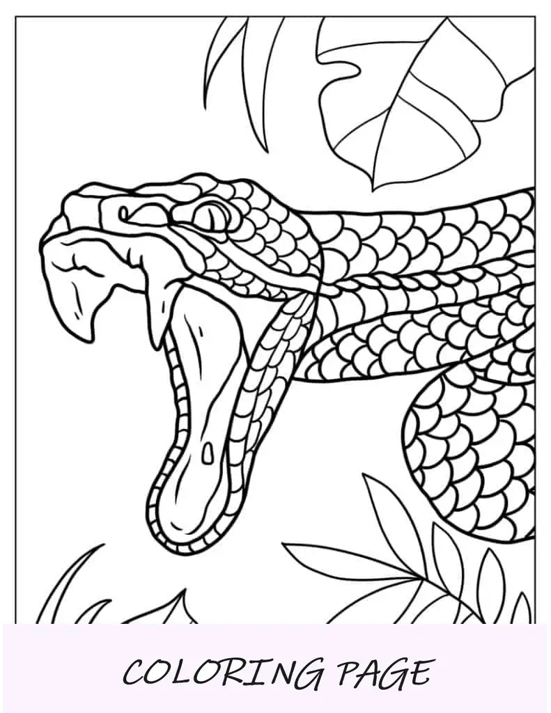 Página para colorear de serpiente atacando a su presa