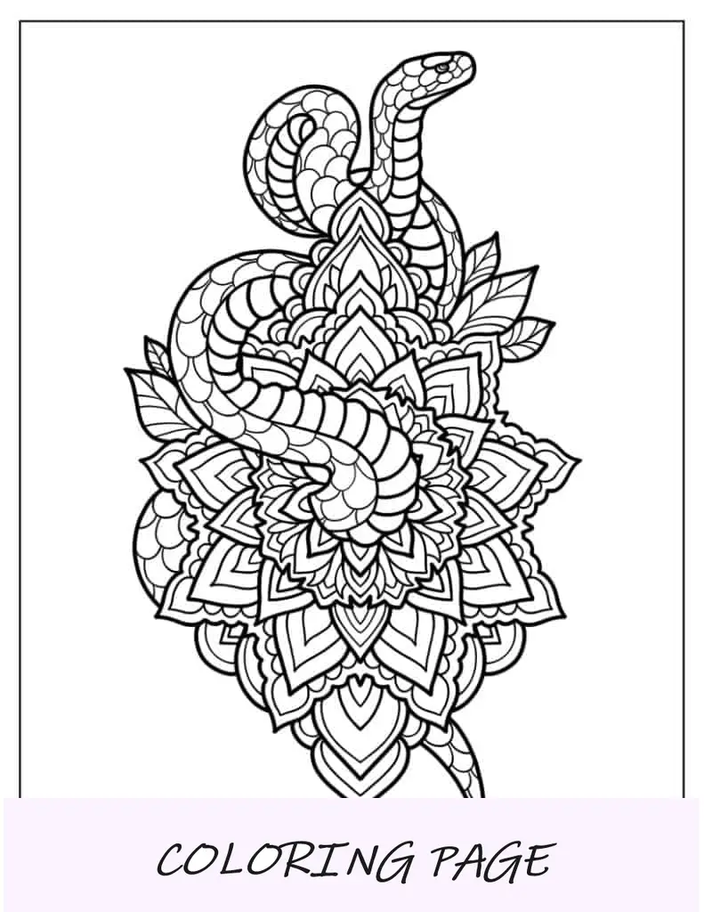 Mandala De Serpiente Para Colorear Para Adultos