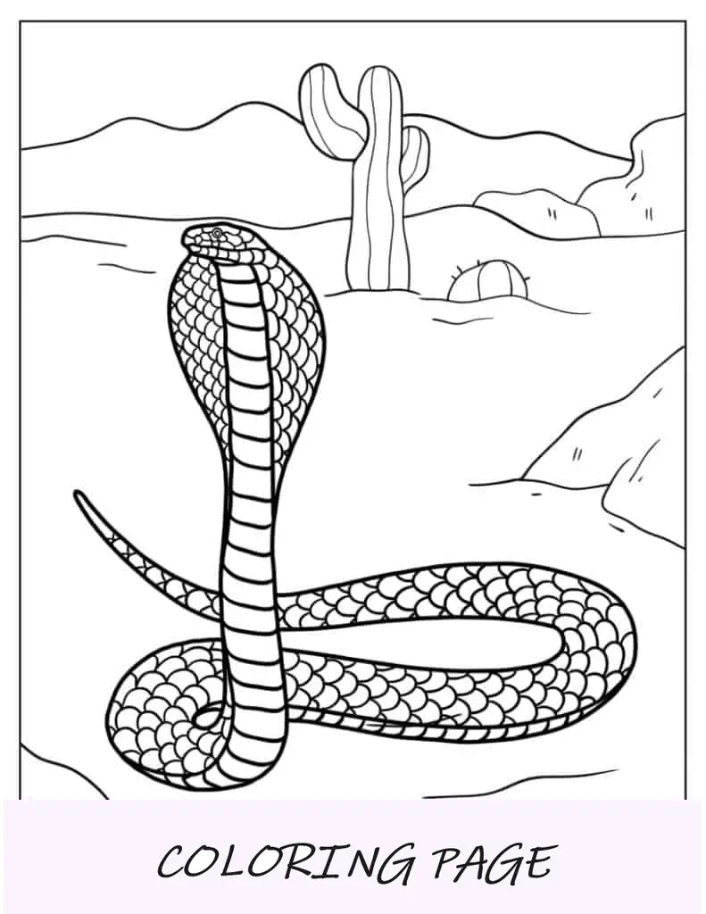 Serpiente cobra india para colorear