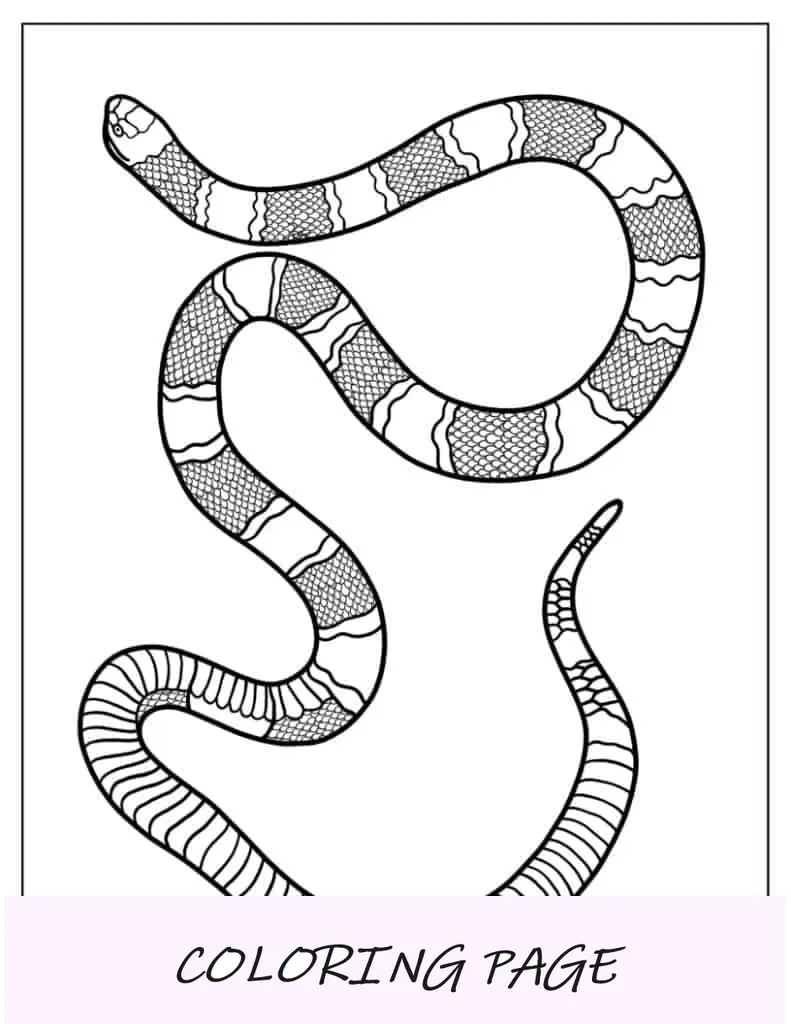 Hoja para colorear de serpiente de coral
