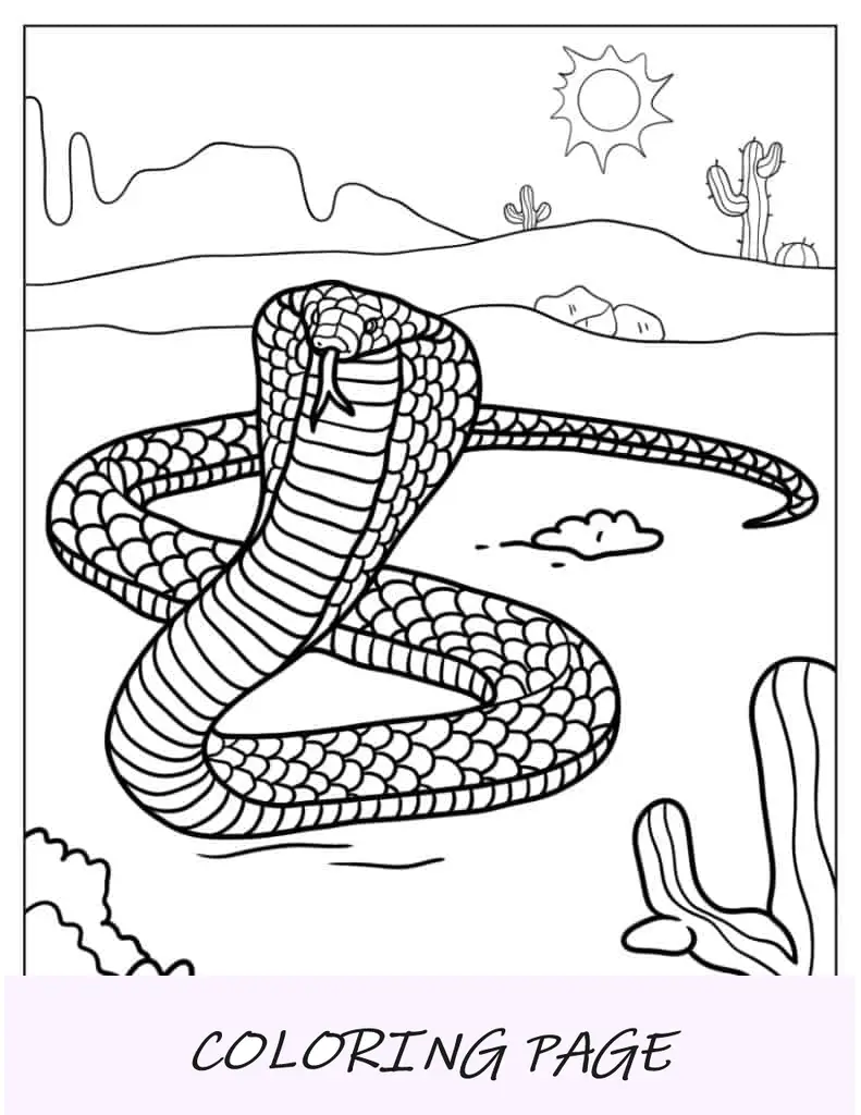 Hoja para colorear de la serpiente cobra real