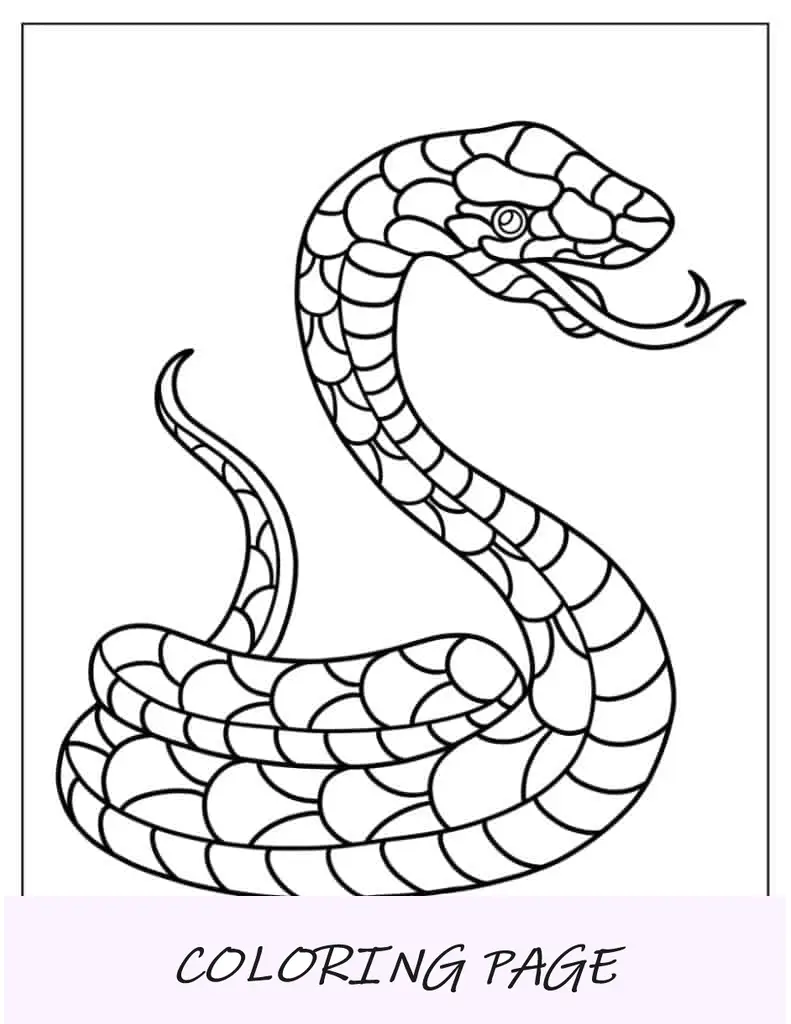 Serpiente acurrucada con la lengua fuera