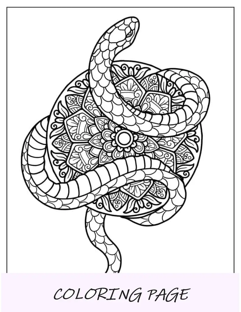 Serpiente envolviendo un mandala para colorear