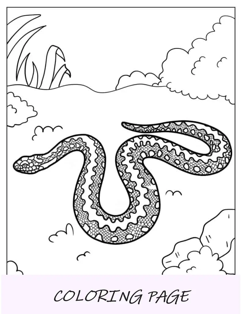 Serpiente con escamas detalladas para colorear