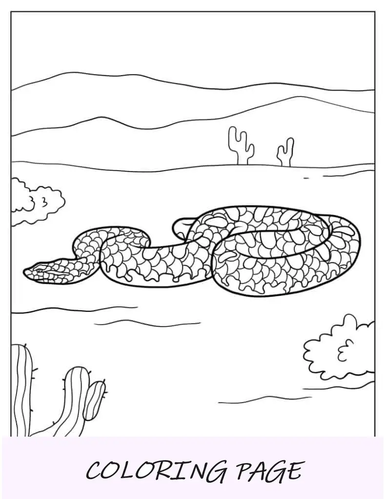 Serpiente deslizándose en el desierto