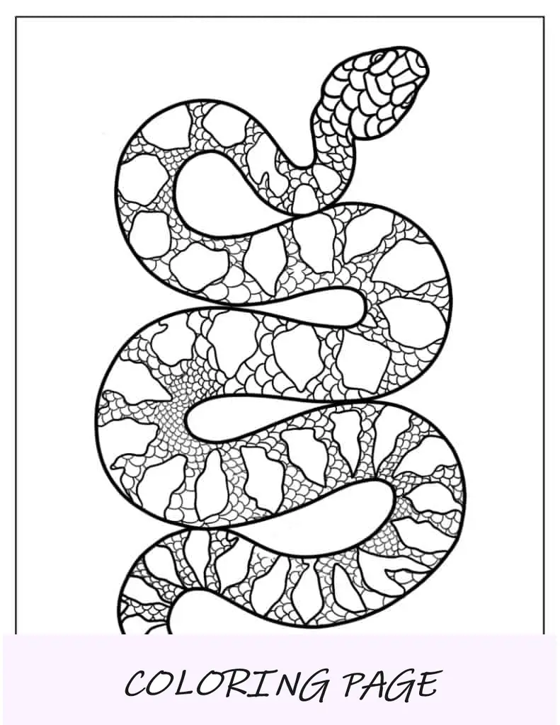 Serpiente pitón grande