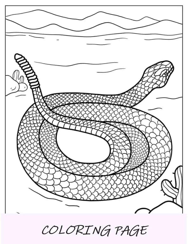 Serpiente de cascabel de cola negra detallada en el desierto