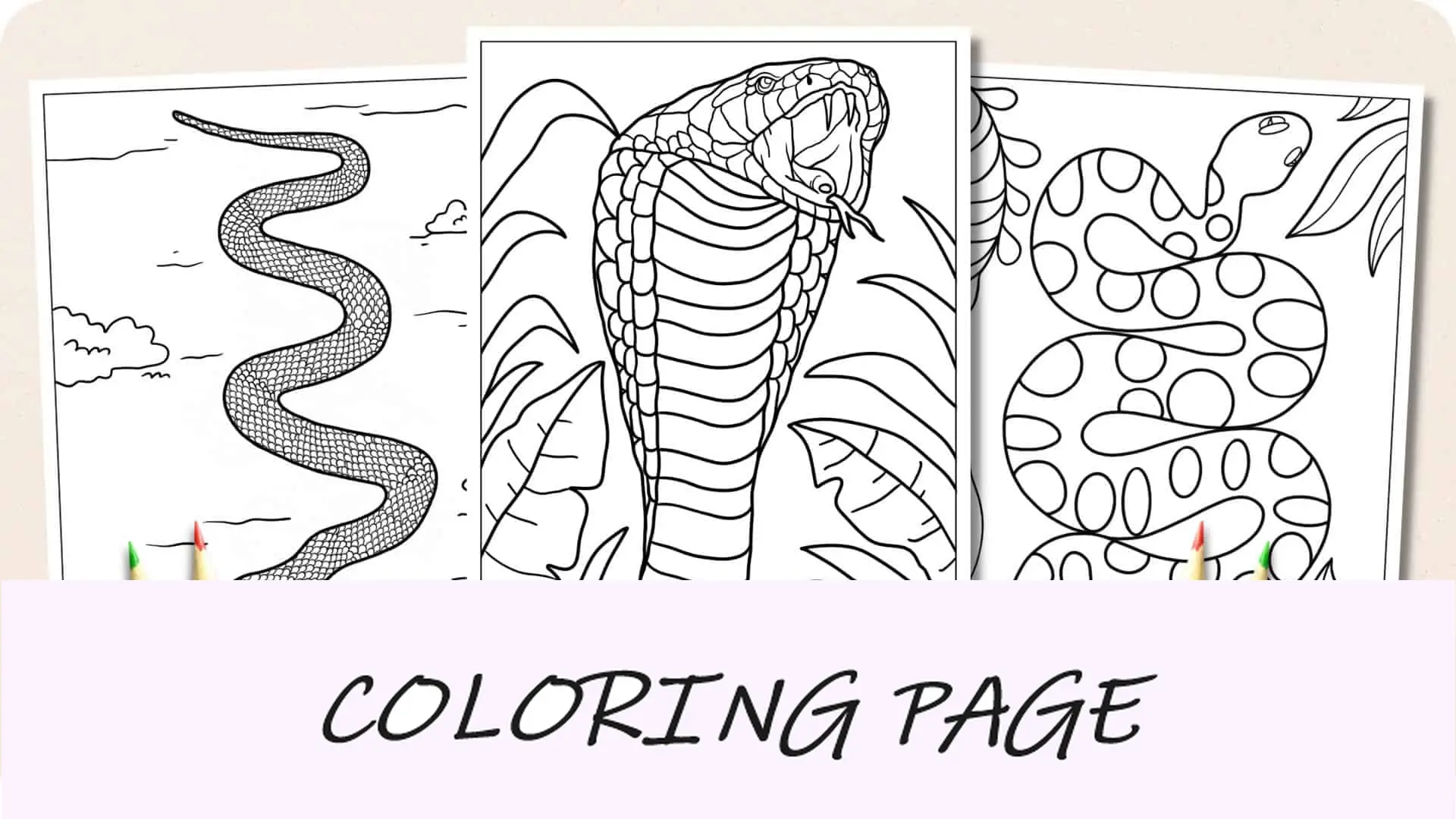 Dibujos para colorear de serpientes Imagen destacada