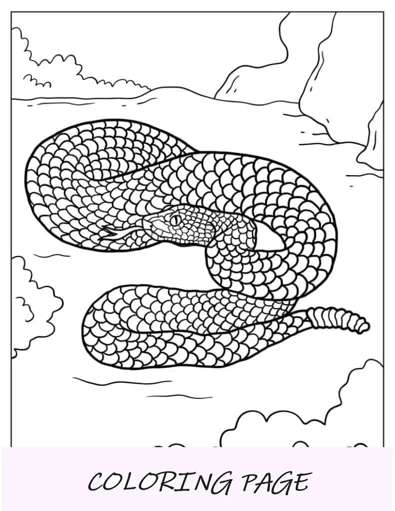 Serpiente de cascabel mortal para colorear