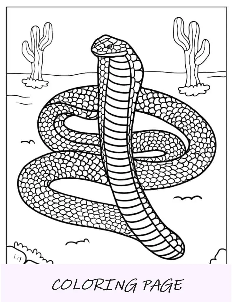 Serpiente Cobra Rey Para Colorear