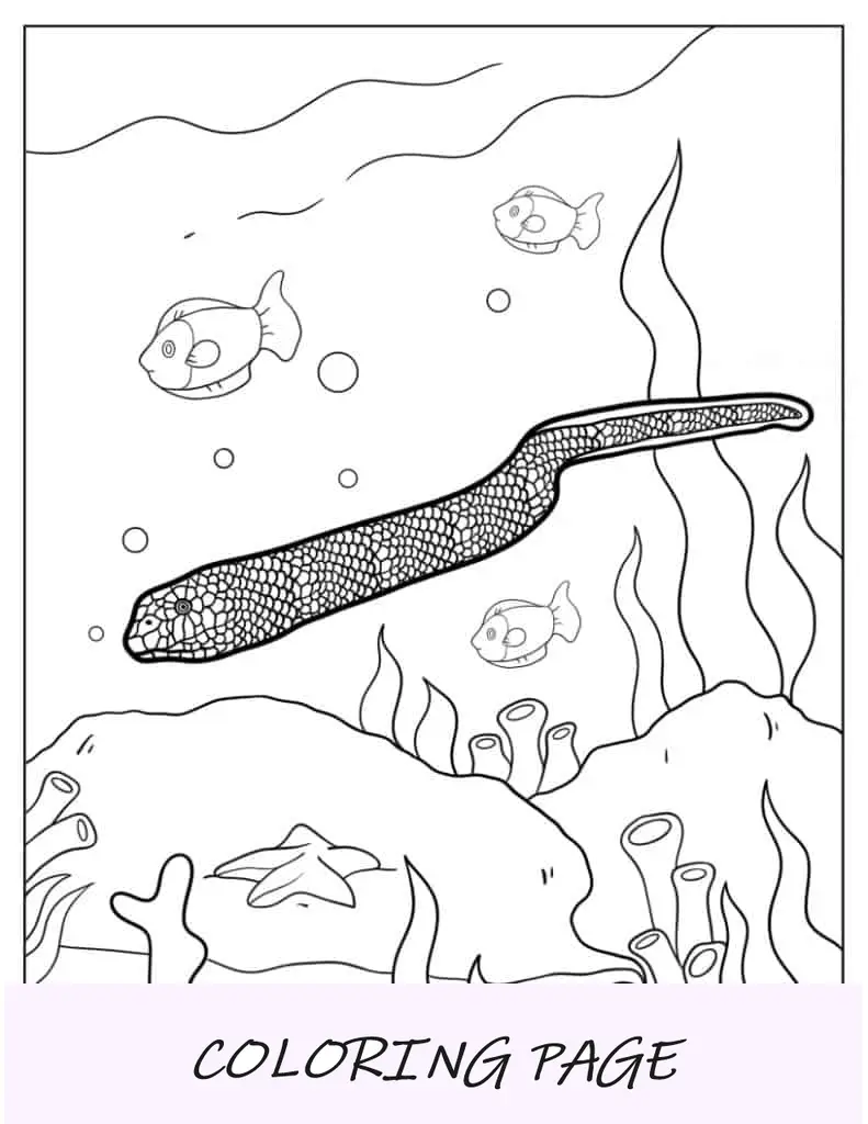 Serpiente marina nadando en el océano