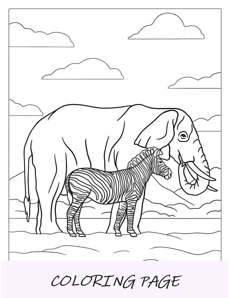 Elefante Vs Cebra Tamaño Para Colorear