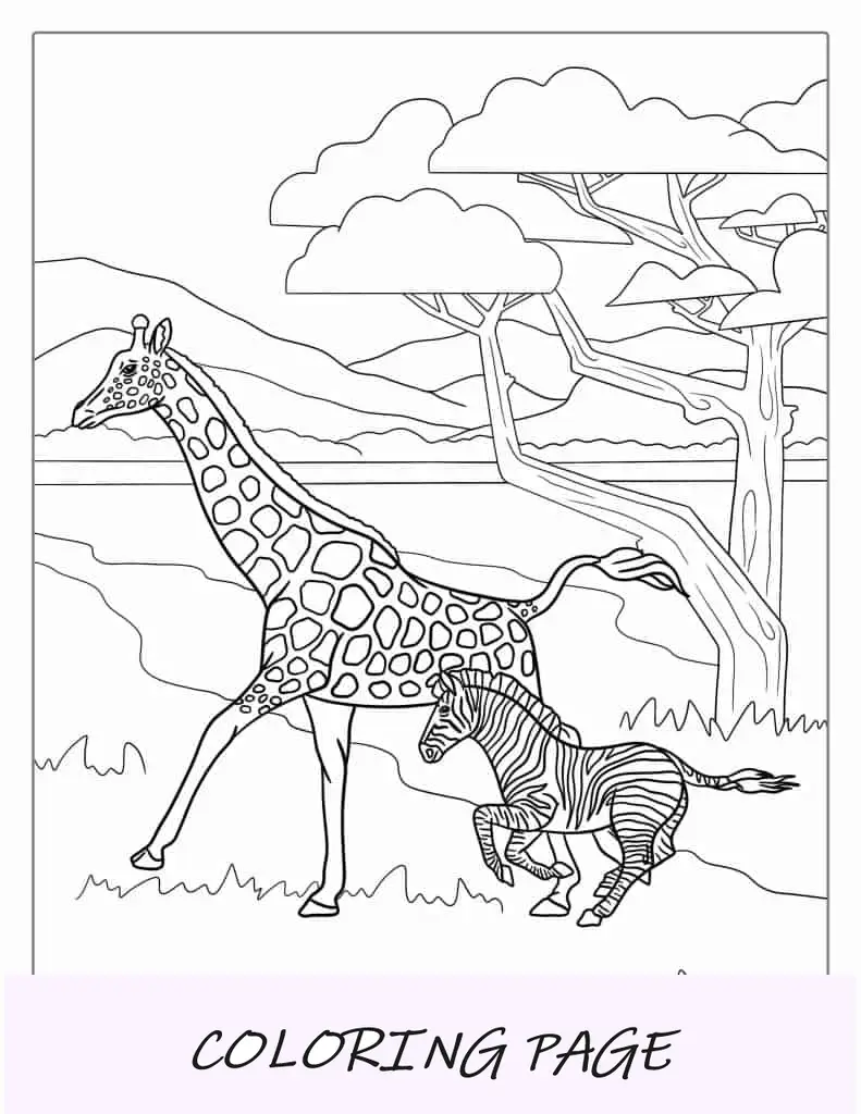 Página para colorear de jirafa y cebra