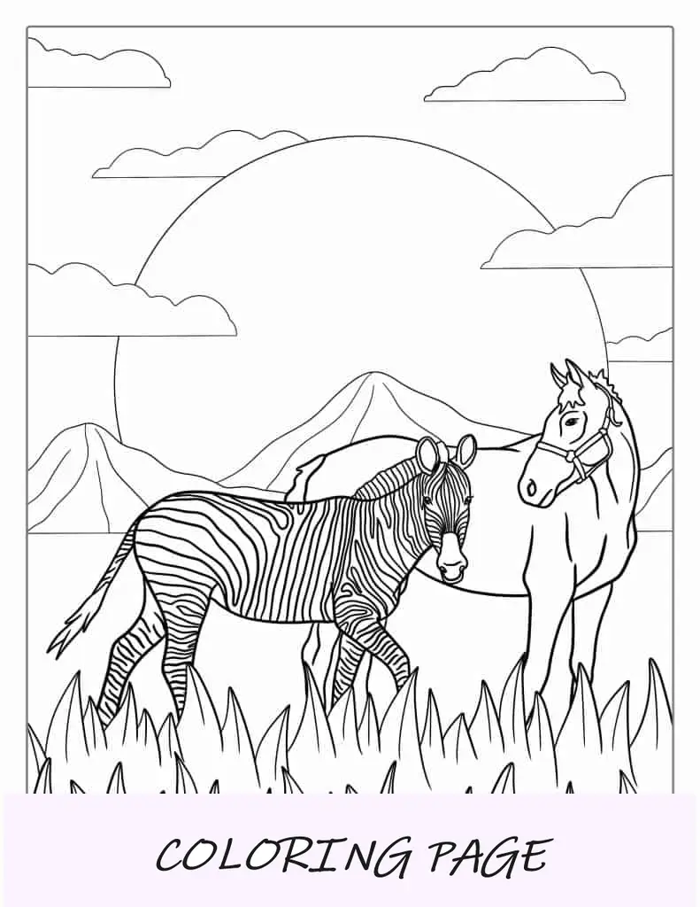 Caballo Vs Cebra Para Colorear Para Profesores