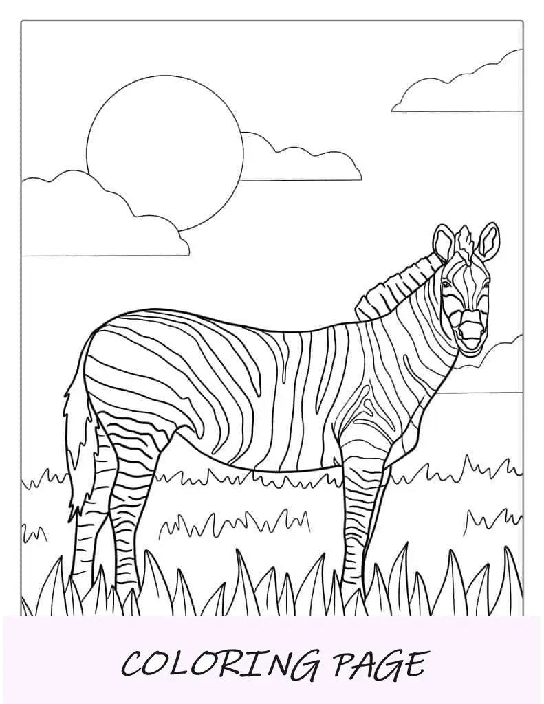 Página para colorear de cebra realista en el campo