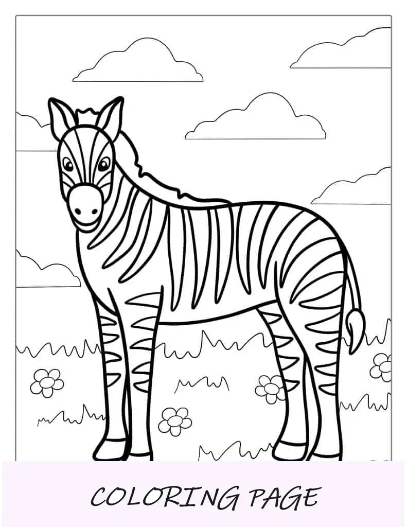 Contorno simple de una cebra para colorear para niños en edad preescolar