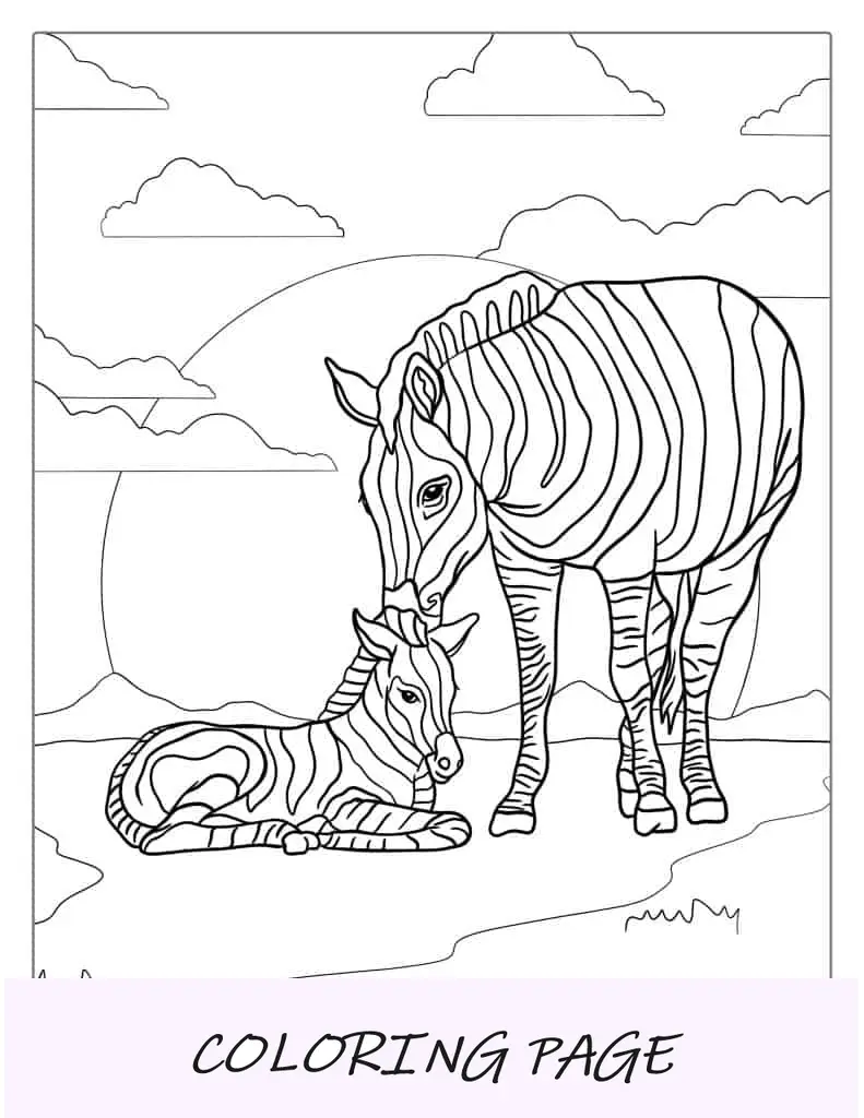 Bebé cebra siendo consolada por su madre para colorear
