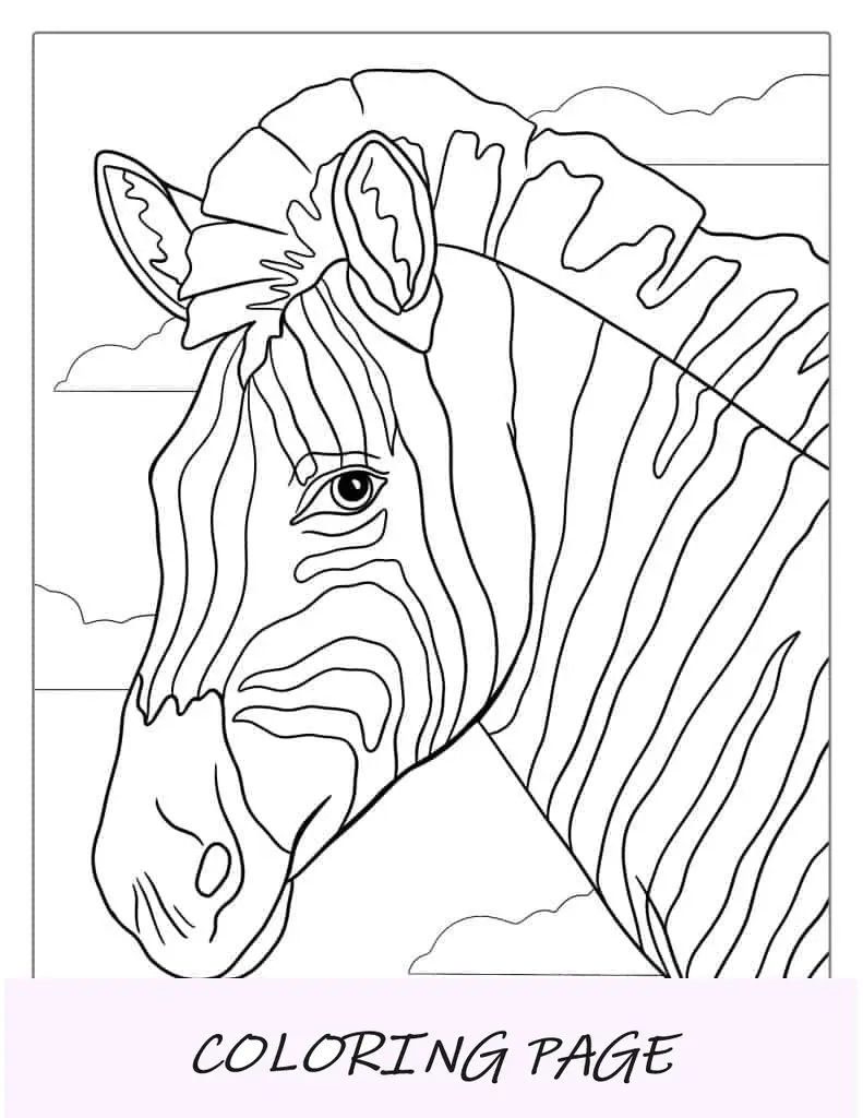 Cara de cebra detallada con rayas para colorear