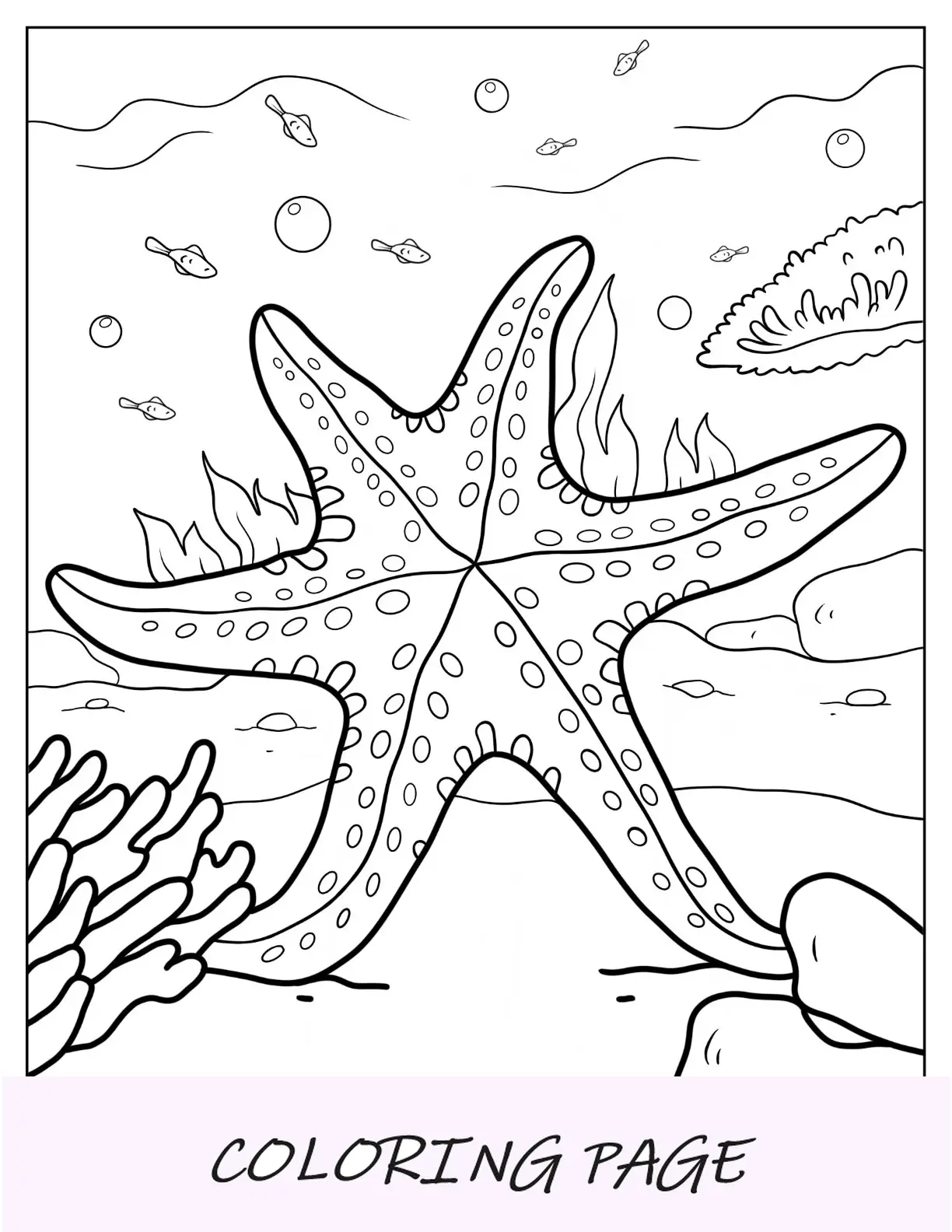 Página detalhada para colorir estrela do mar subaquática