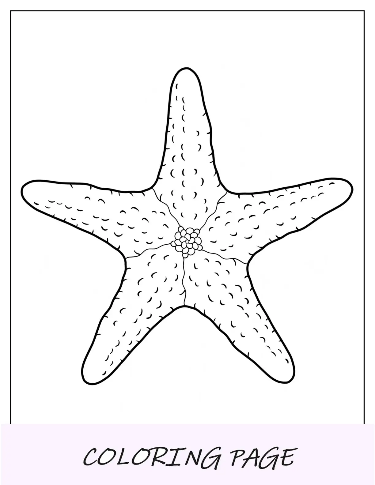 Página para colorir esboço fácil de estrela do mar
