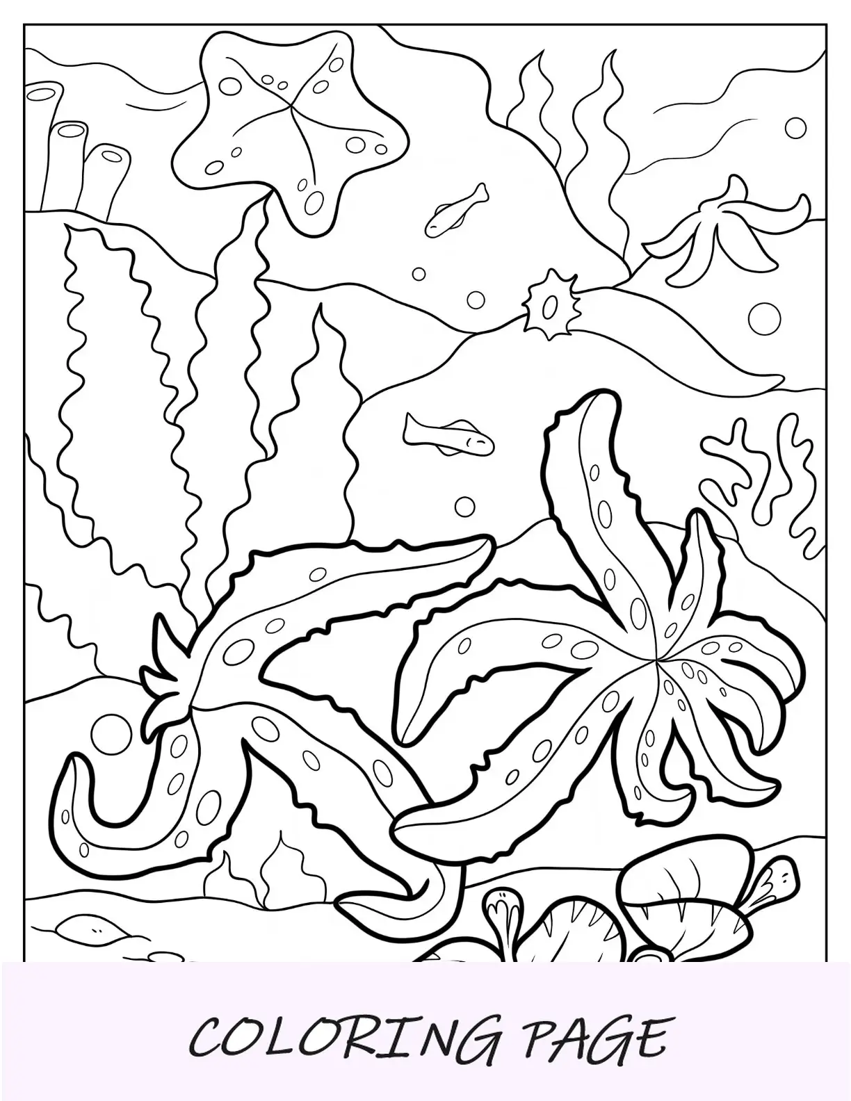 Página para colorir de duas estrelas do mar rastejando ao longo do recife de coral