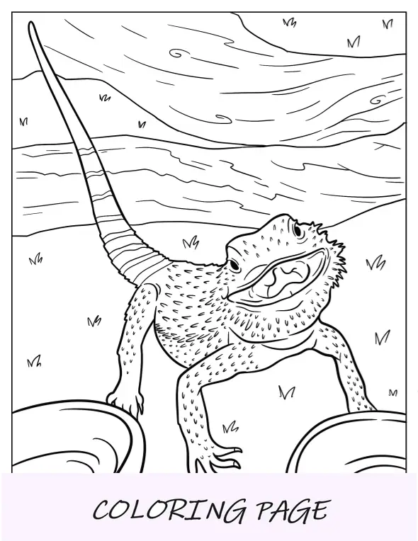 Página para colorir de dragão barbudo feliz com pele texturizada