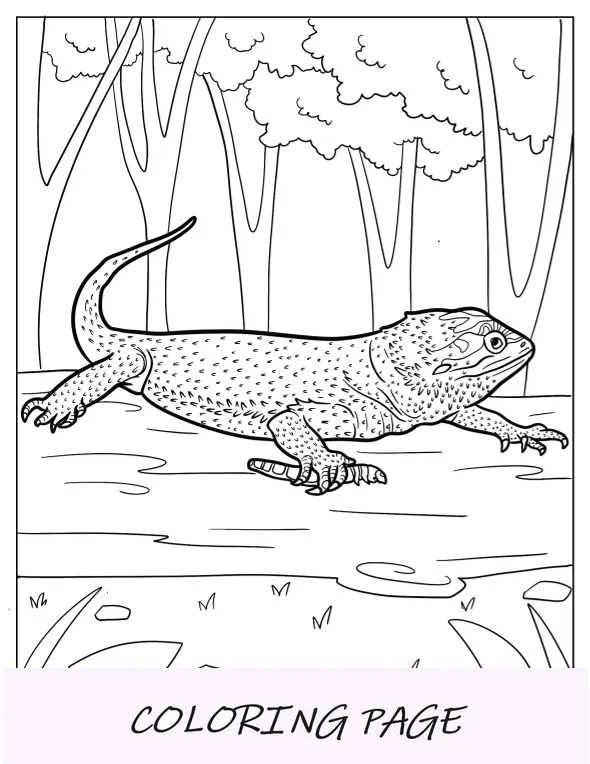 Página detalhada para colorir de dragão barbudo segurando minhoca