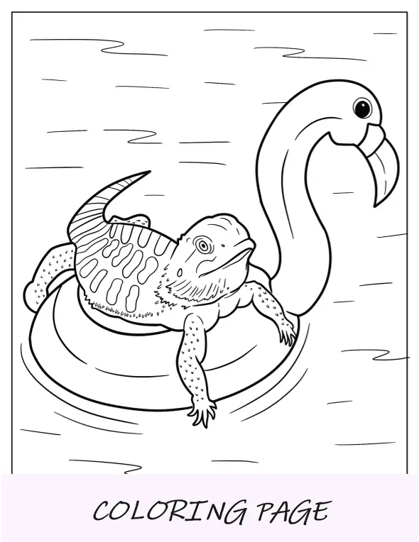 Página para colorir de dragão barbudo fofo no flamingo inflável