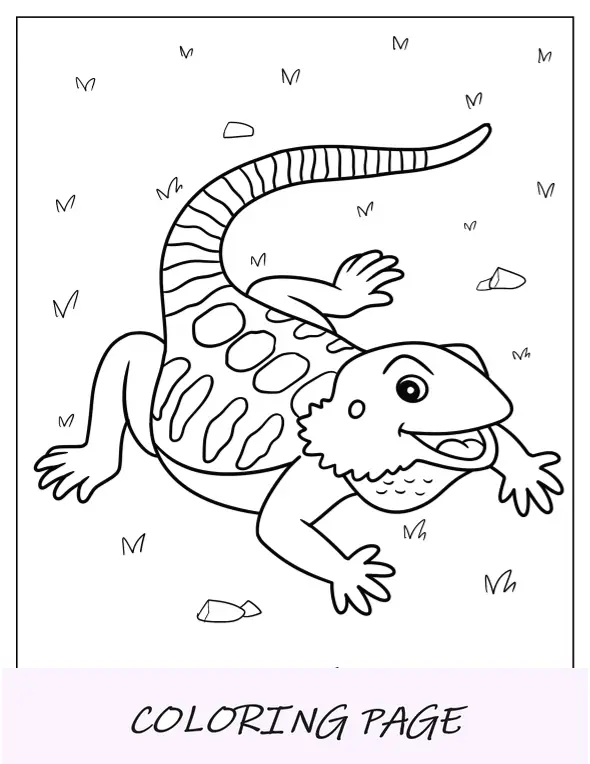Desenho de dragão barbudo para colorir para crianças