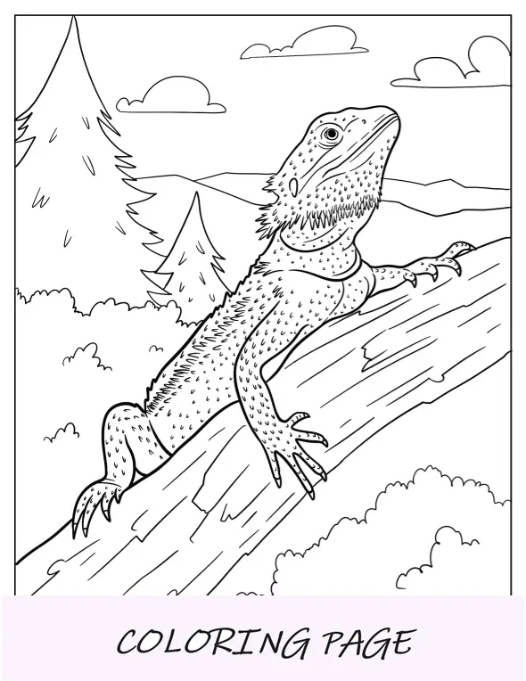 Página para colorir de dragão barbudo escalando galho de árvore