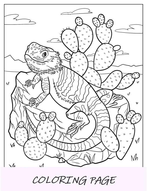 Desenho para colorir de um dragão barbudo sorridente no topo de uma rocha com um cacto