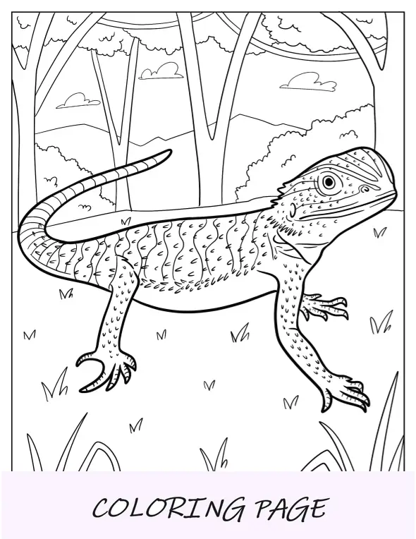 Desenho para colorir de um pequeno dragão barbudo com a cabeça erguida