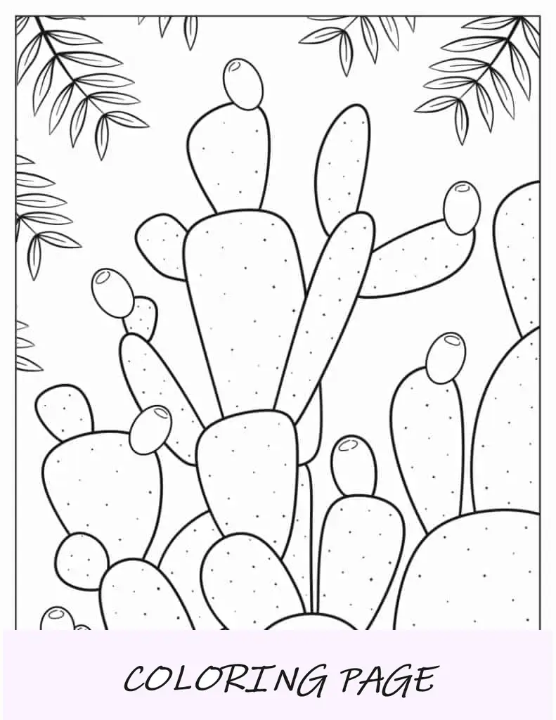 Dibujos Para Colorear De Plantas Vs Cactus