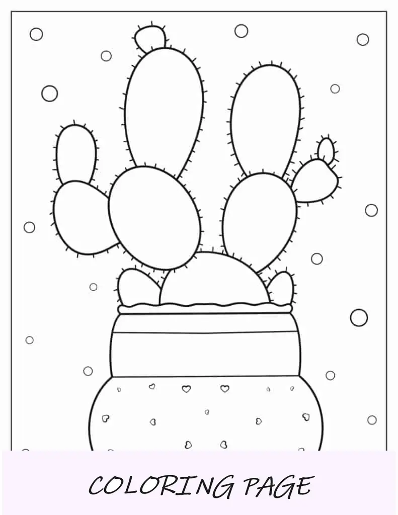Plantas De Cactus Kawaii Con Gato