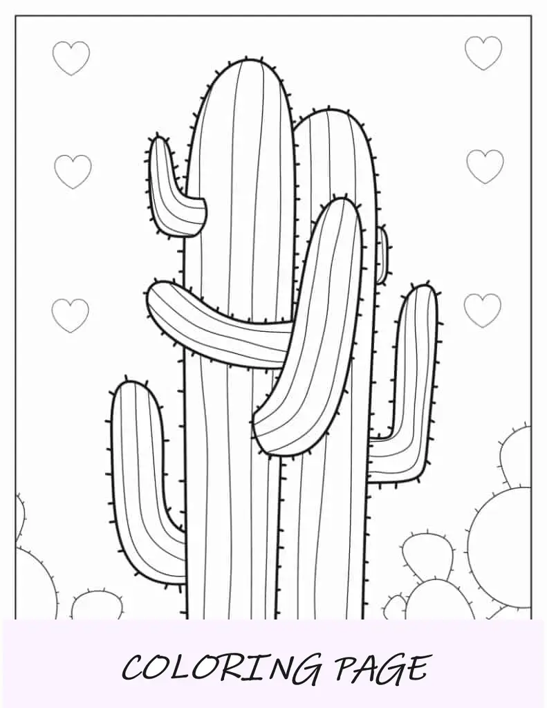 Varias plantas de cactus bebés para colorear