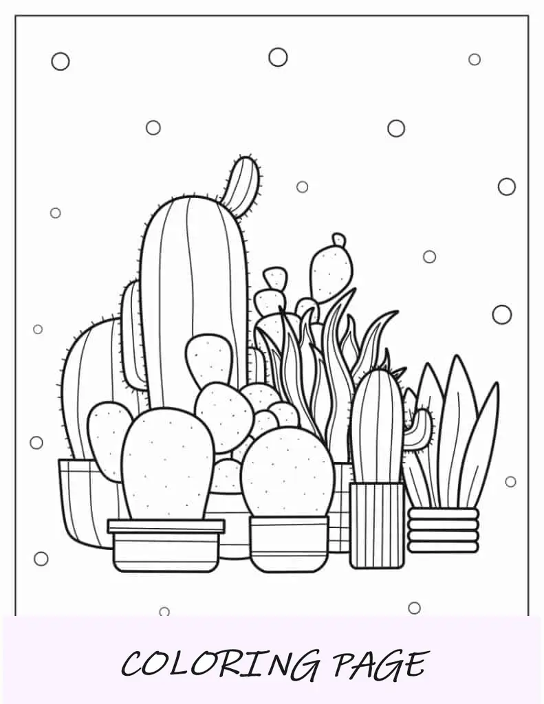 Esquema simple de plantas de cactus en el desierto para niños