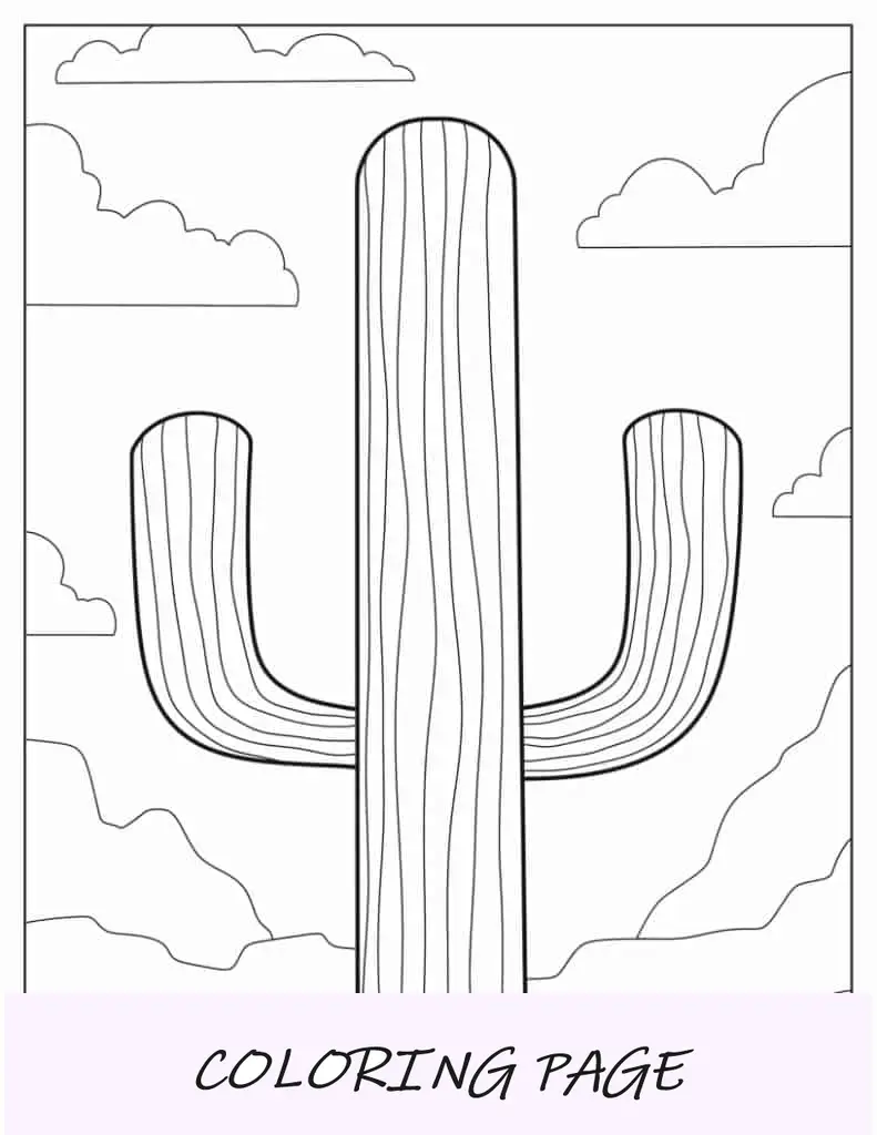 Saguaro y cactus barril dorado