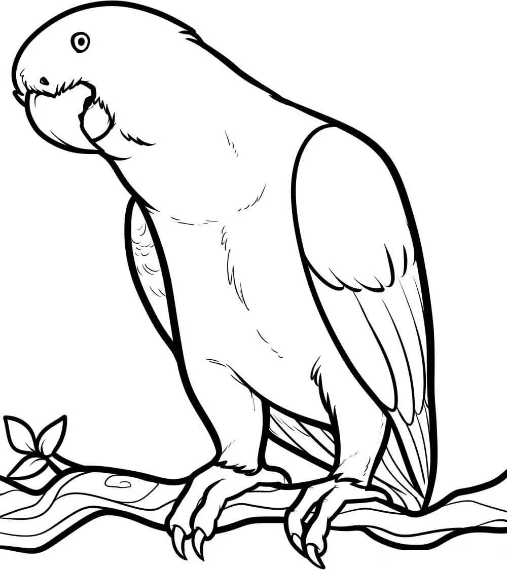 P Is For Parrot Coloring Page