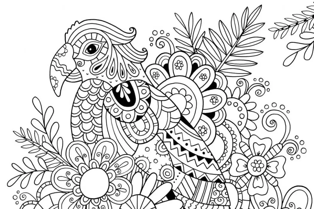 Zen Parrot Coloring Pages