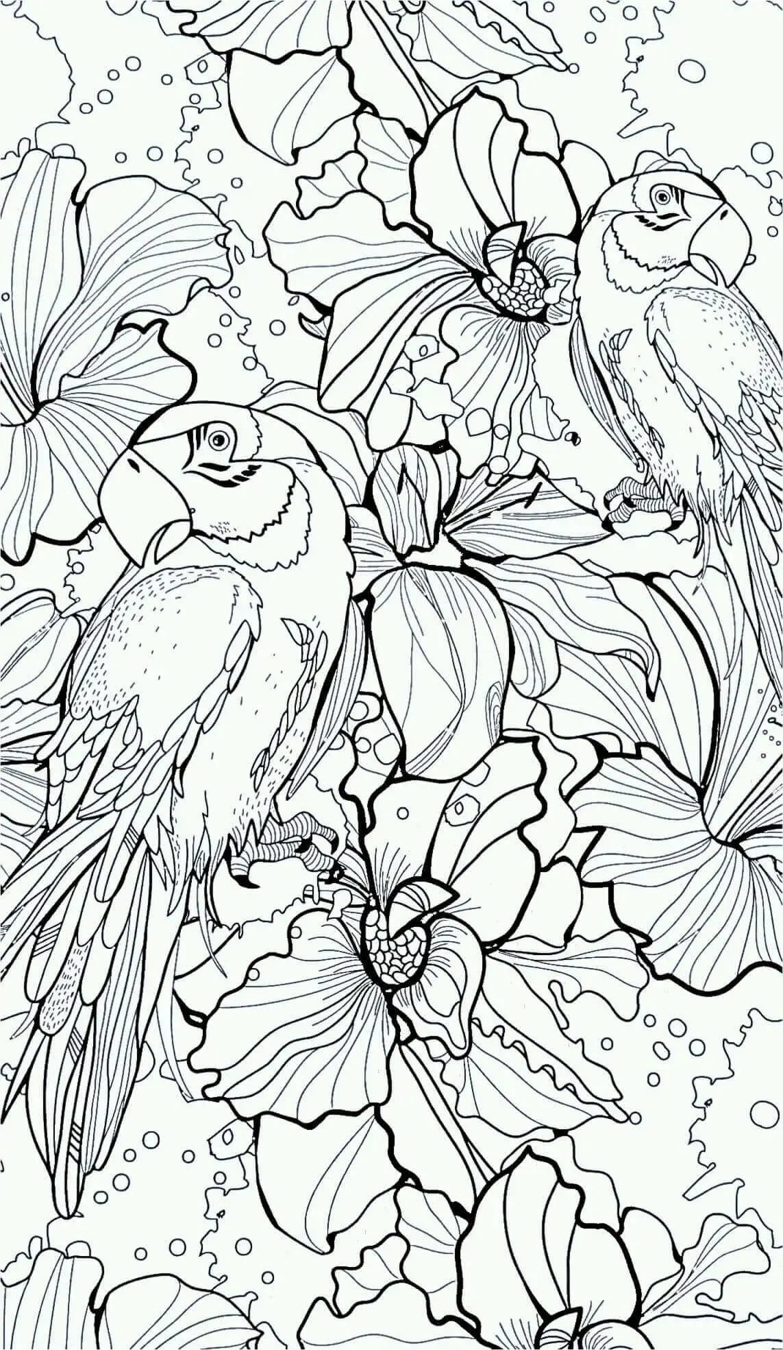 Parrot Coloring Pages