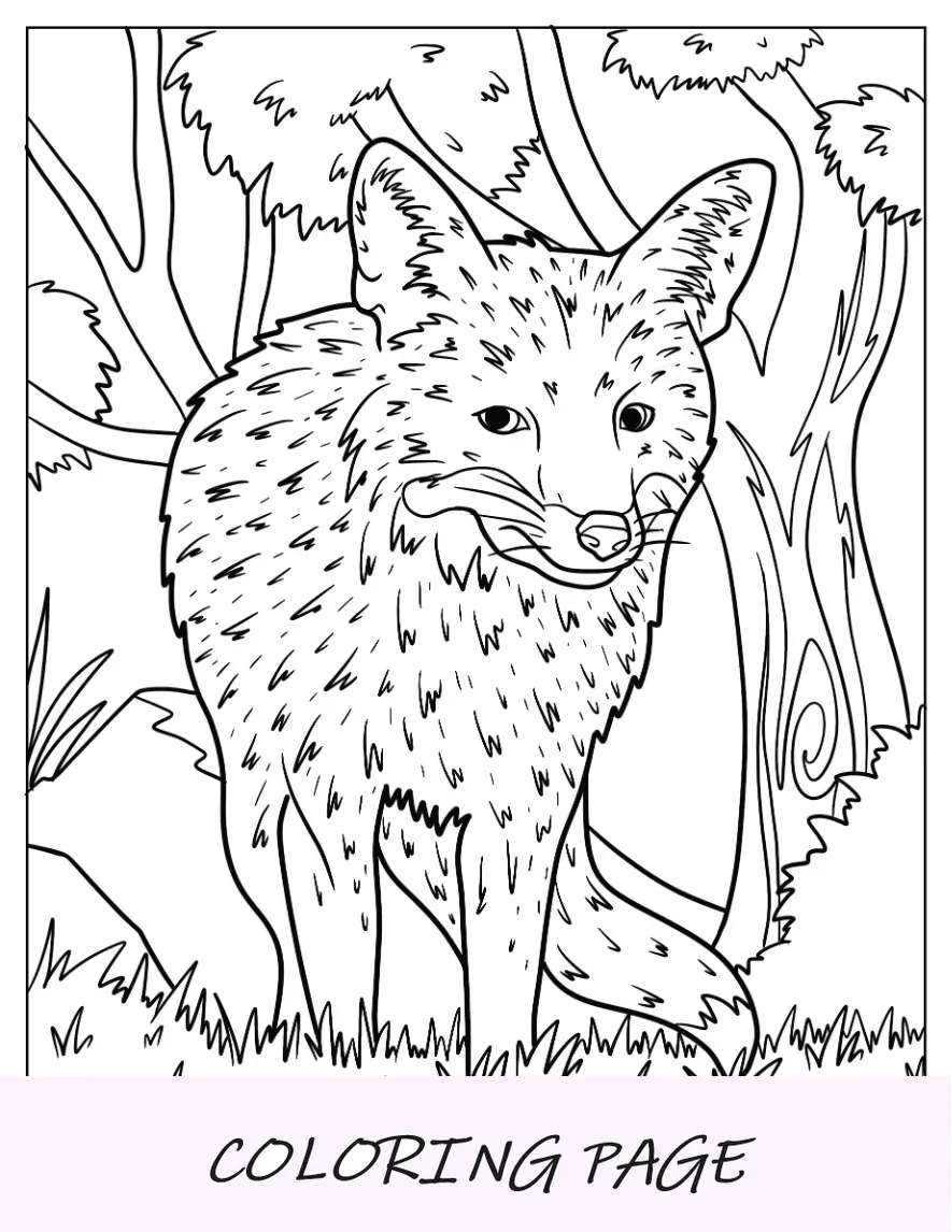 Pagina da colorare volpe che cammina nella foresta