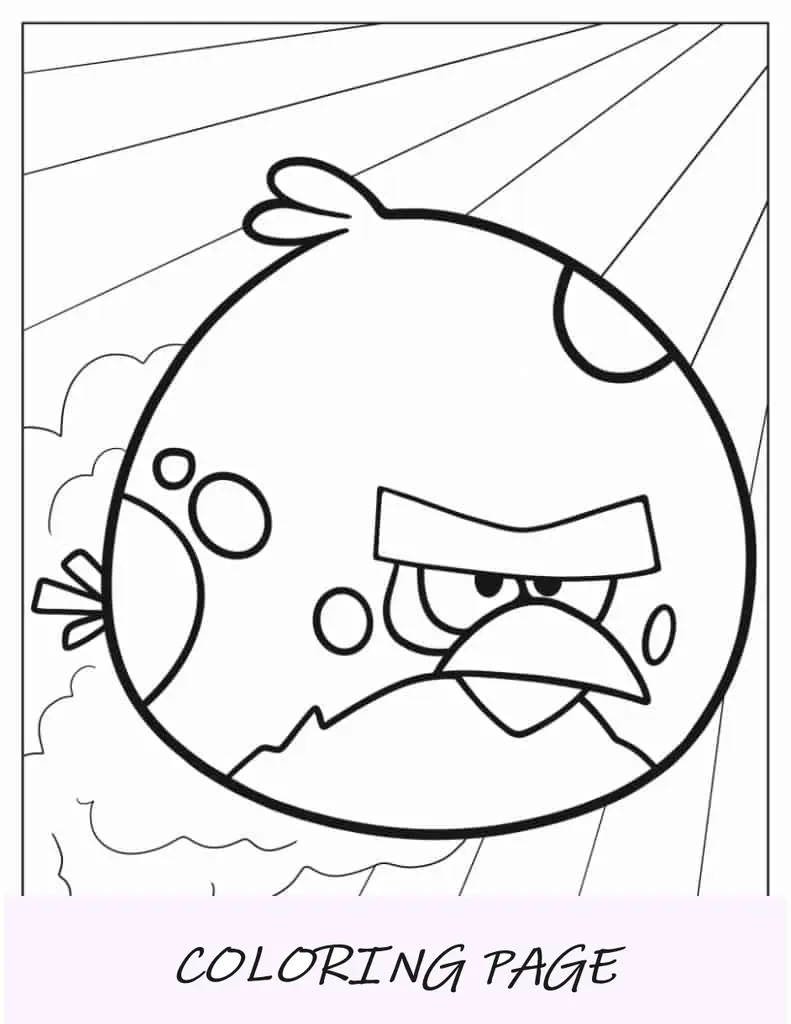 Angry Birds Terence