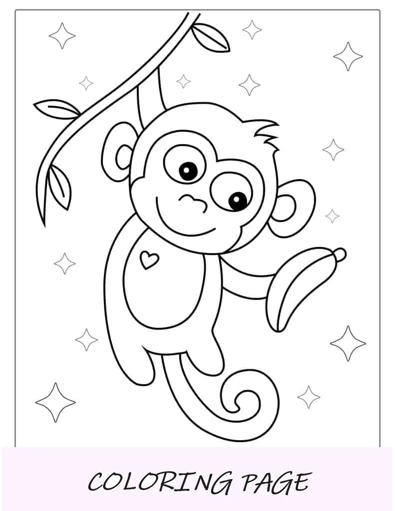 Macaco pendurado em cipó segurando banana