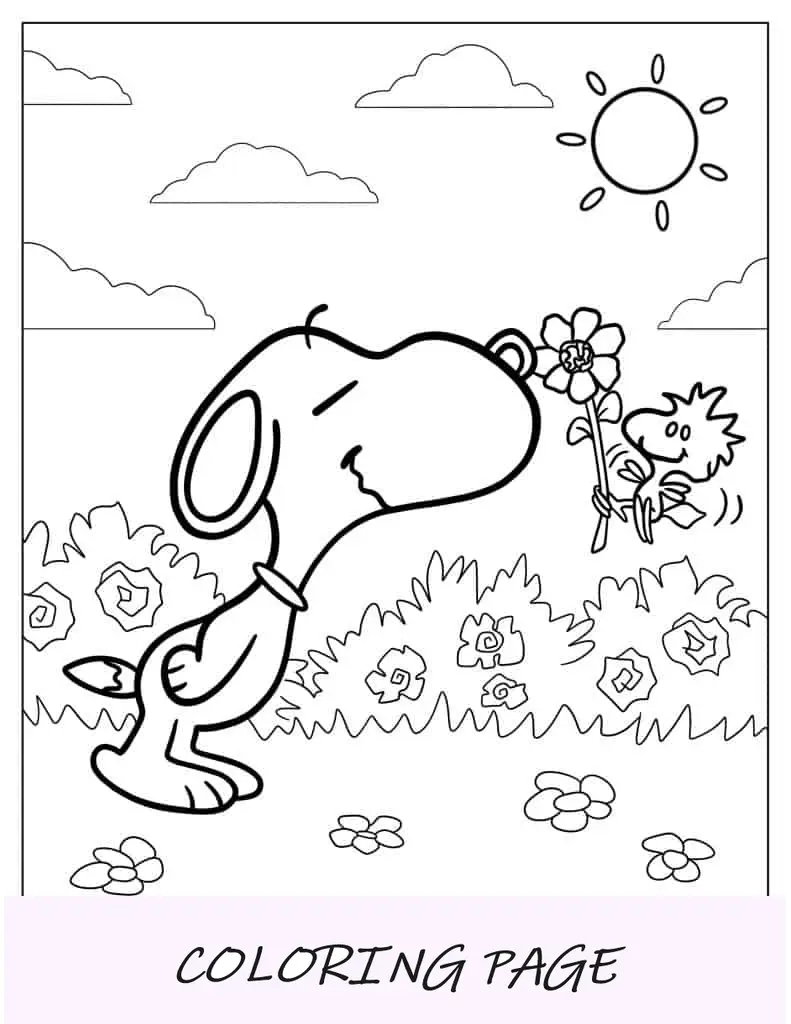 Snoopy cheirando flores para colorir